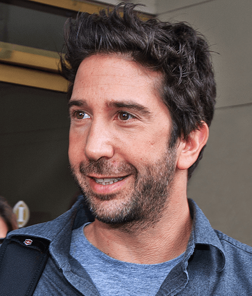 David Schwimmer wiki