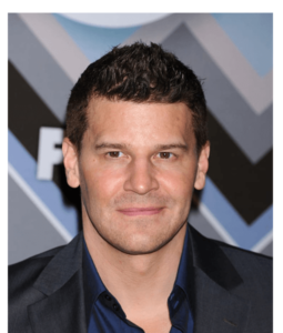 David Boreanaz wiki
